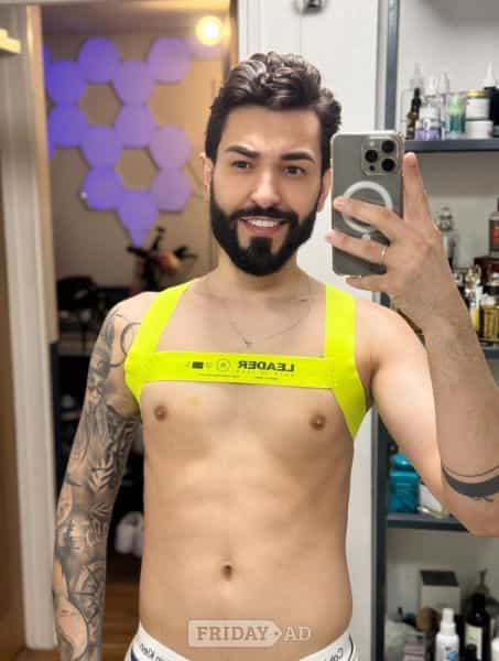 Emersonnleao main image