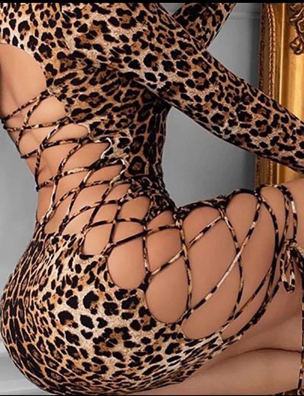 Have Fun With Sophia Tonight! main image