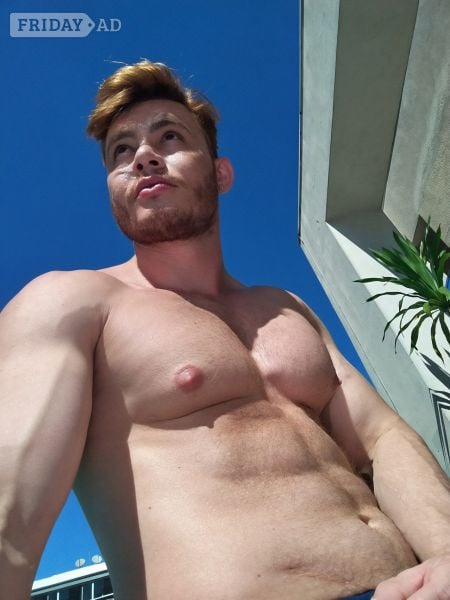 DennyHotBrazilia image