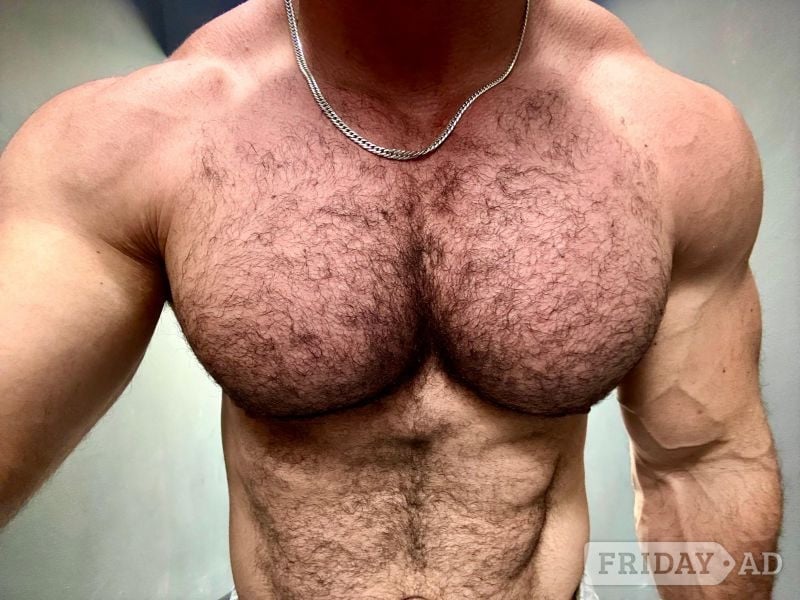 HotFelipe image